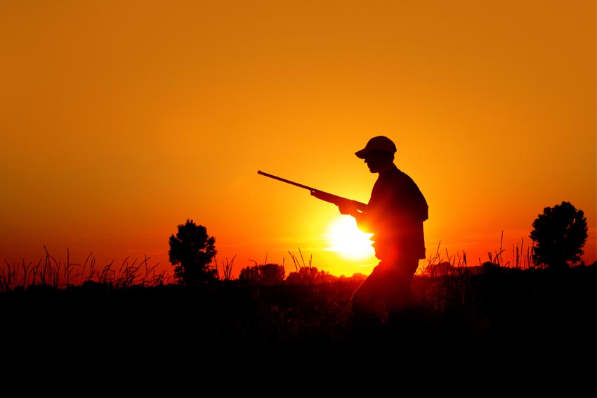 Jagd3-Holden-Paderborn